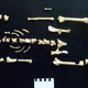 Remains of a rabbit skeleton, found buried in Hampshire, Britain.